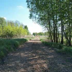 Działka 5290 m2 - Przeginia Narodowa