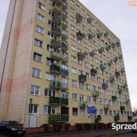 Lokal mieszkalny nr 49