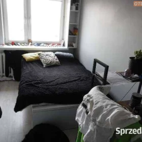 Lokal mieszkalny nr 49