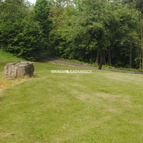  Gospodarstwo około 1,5 ha w Łazanach gm.Biskupice