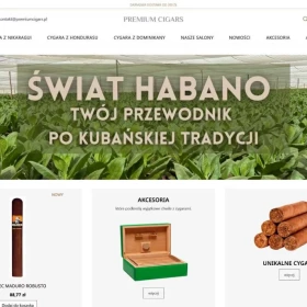 Strony internetowe Kraków - od 100 zł/mies. lub 2000 zł jednorazowo