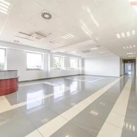 Open space/całe piętro w nowoczesnym biurowcu 1-P