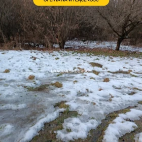 Duża działka inwestycyjna  w Czarnochowicach