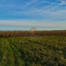 Rusicice, gm. Czernichów. 27 ar w zielonej okolicy