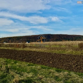 Rusicice, gm. Czernichów. 27 ar w zielonej okolicy