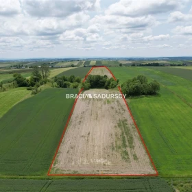 Działka 30500 m2 - Prandocin-Iły