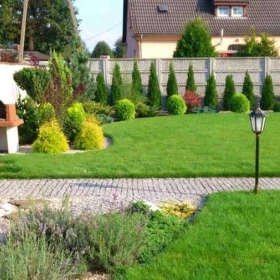 Pielęgnacja ogrodów - cięcie krzewów