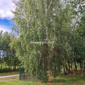 Działka 3200 m2 - Lewniowa