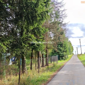 Działka 3200 m2 - Lewniowa