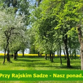 Agroturystyka Przy Rajskim Sadzie