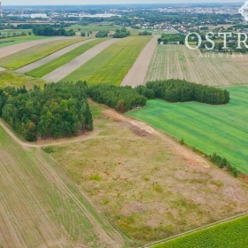 Działki budowlane tylko 5 km od centrum Ciechanowa | MPZP | DK50