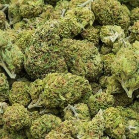 10 Gram AMNESIA HAZE 45% Susz Konopny CBD THC MOCNY 10G