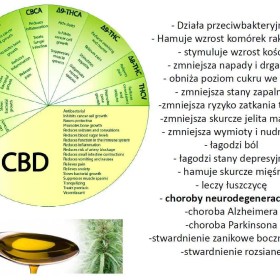50 Gram AMNESIA Haze 49% Susz Konopny CBD THC MOCNY 50G Konopie Promo