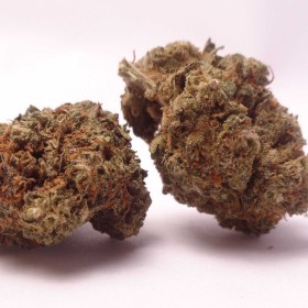 50 Gram AMNESIA Haze 49% Susz Konopny CBD THC MOCNY 50G Konopie Promo