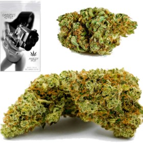 20 Gram AMNESIA HAZE 45% Susz Konopny CBD THC MOCNY 20G