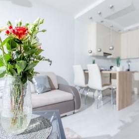 Apartament DIAMENTOWY Gardenia Dziwnów EPpartamenty